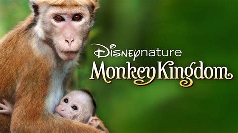 monkey kingdom dating show